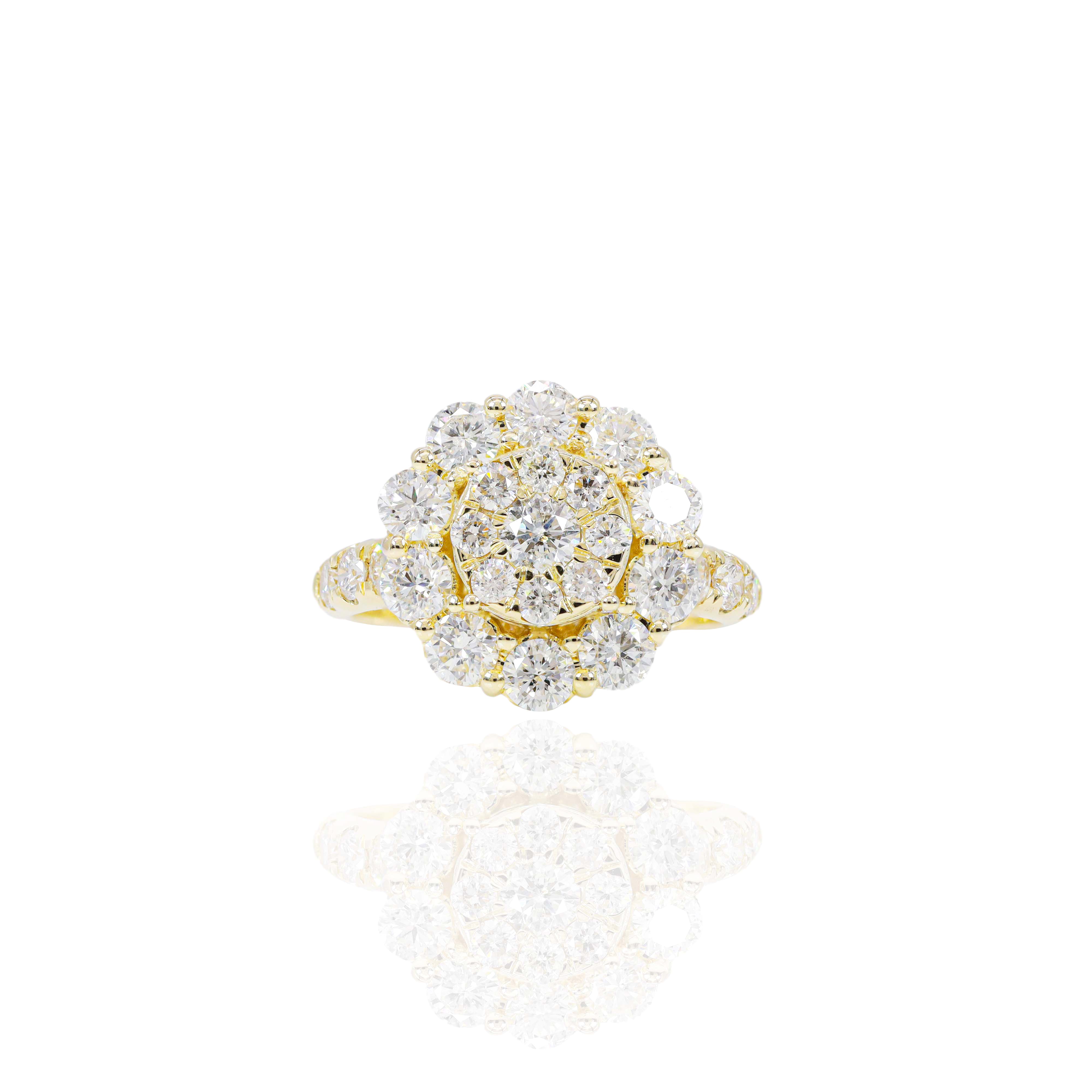 Round Diamond with Halo & Hidden Halo Diamond Engagement Ring