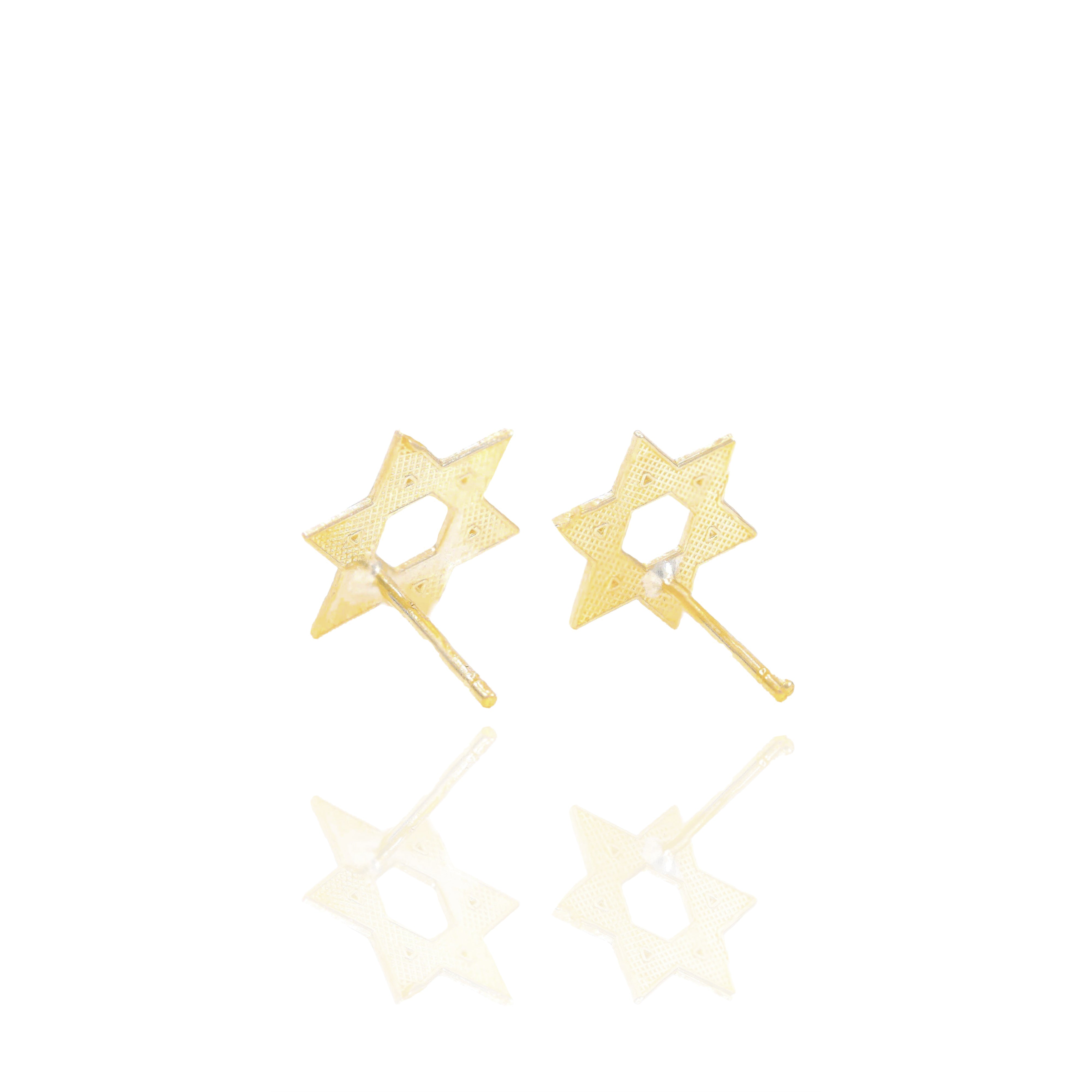 Star of David Gold Earrings