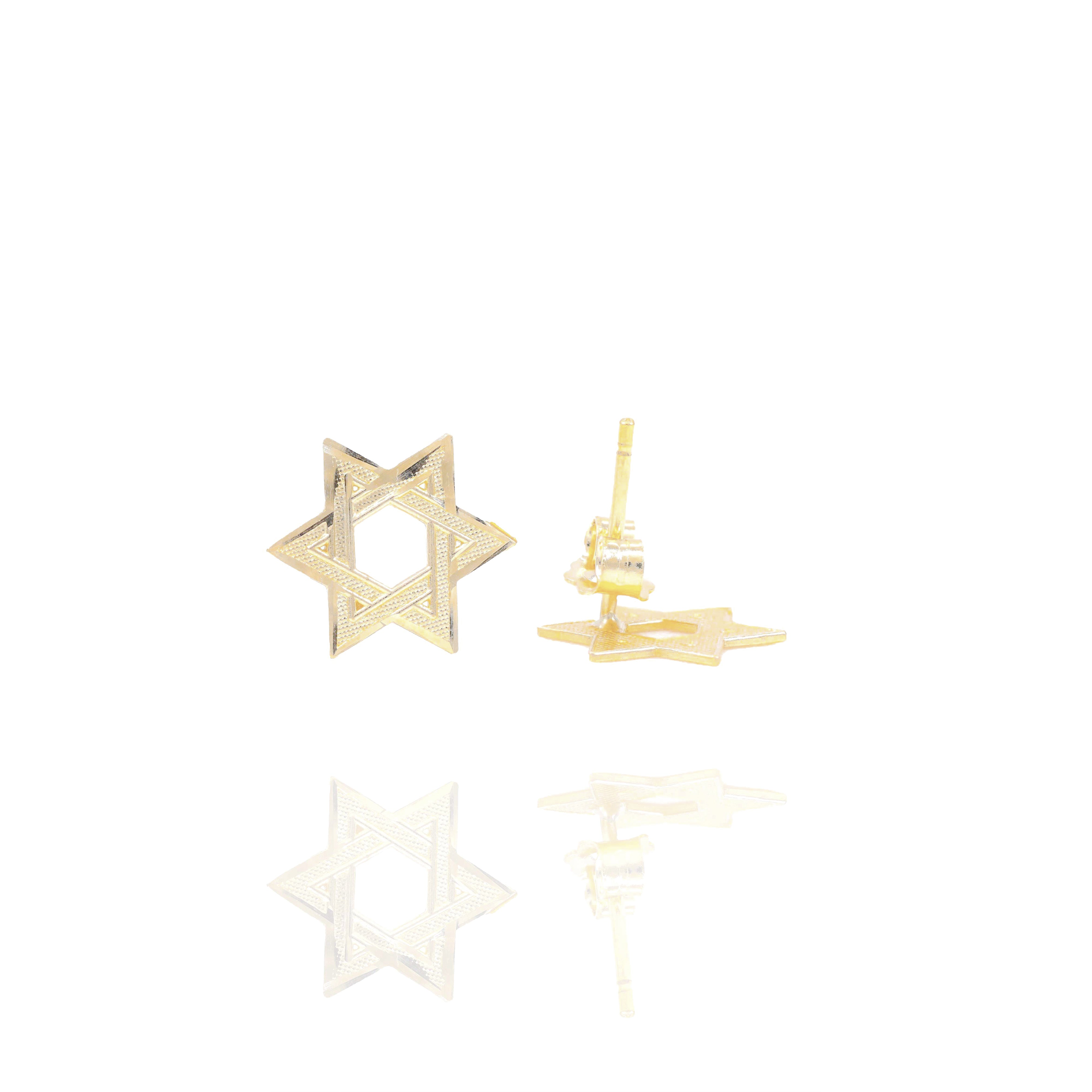 Star of David Gold Earrings
