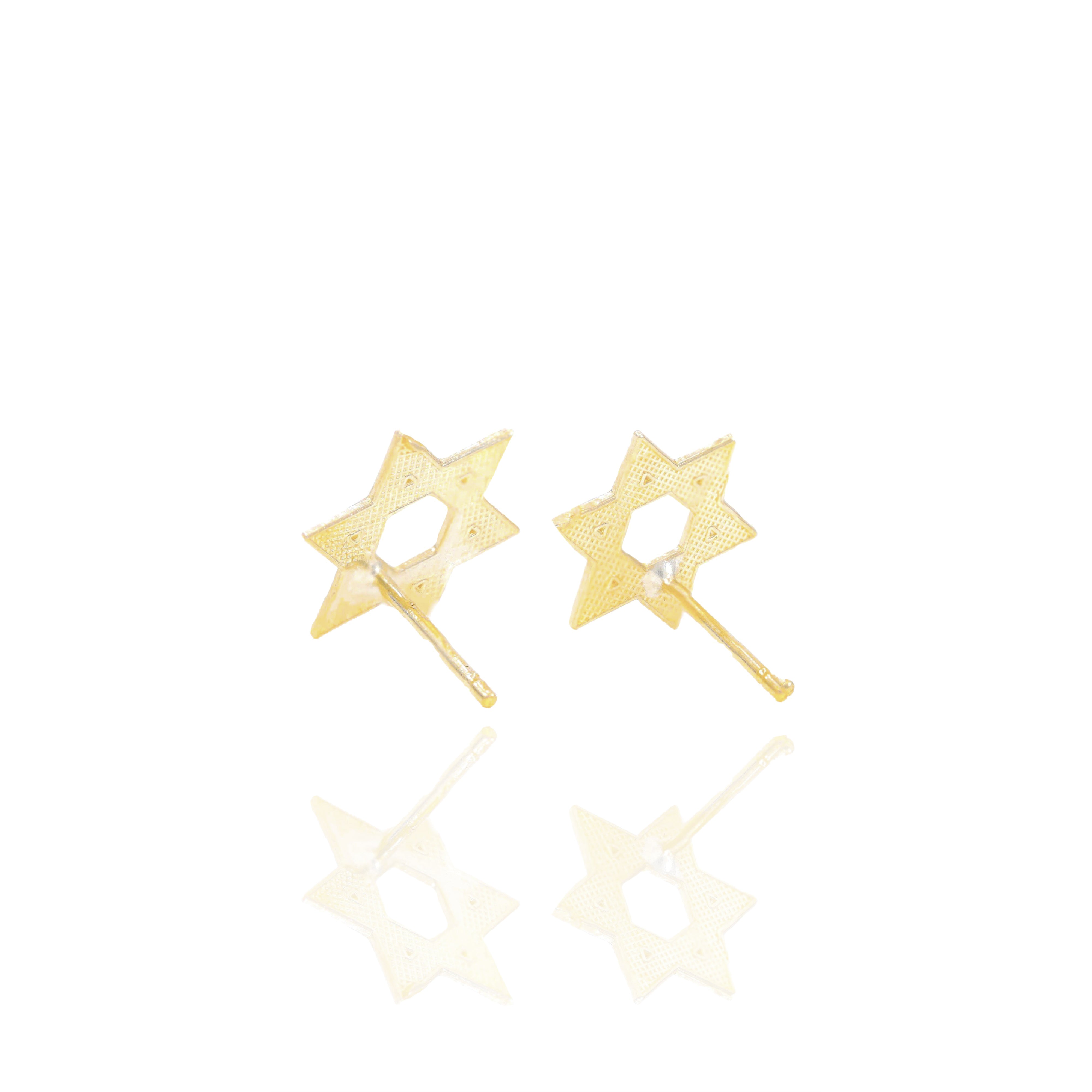 Gold Star of David Earrings